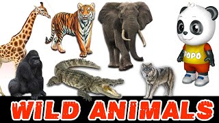 Wild Animals Name and Sound | Wild Animals Videos for Kids | | Kids Learning Videos screenshot 4