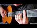 Ecstasy of Gold (fingerstyle guitar)