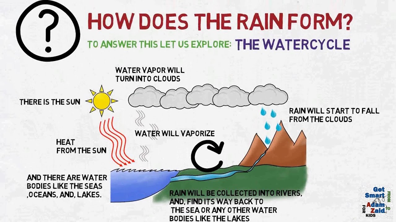 How does the rain form The water cycle Science YouTube