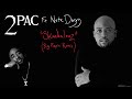 2Pac "Skandalouz" Ft. Nate Dogg (Big Pimpin' Remix)