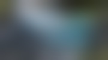 Paragon: The Overprime - Wraith Carry Build