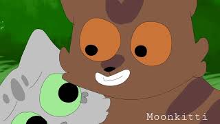 Candy Store Animash Warrior Cats