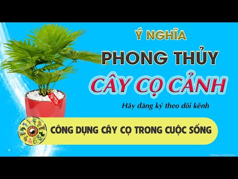 Video: Cây Cọ Khu 6: Các Loại Cây Cọ Cho Vườn Khu 6