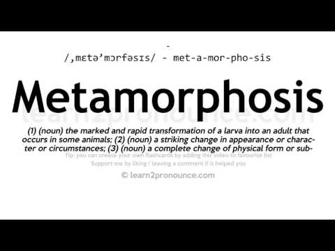 Pronunciation of Metamorphosis | Definition of Metamorphosis