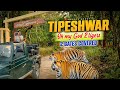 Tipeshwar Tiger Safari | Best weekend getaway from Hyderabad | Best Safari | Sunna Gate|Paw's resort