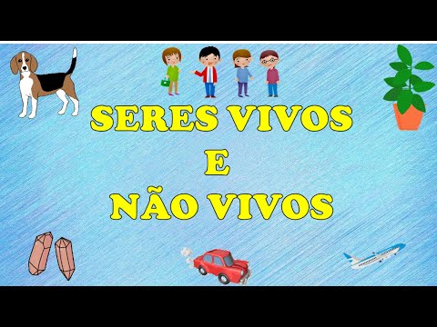 Vídeo: Cão fica preso entre paredes quando o tempo de banho escapar plano vai horrivelmente errado