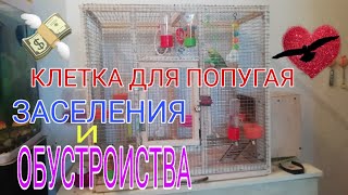 КЛЕТКА ДЛЯ ПОПУГАЯ! ЗАСЕЛЕНИЯ И ОБУСТРОИСТВО КЛЕТКИ!Cage FOR Parrots Populating And Arranging a Cage