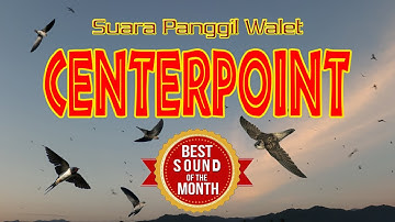 Suara Walet 100% Gratis CENTERPOINT External Call Swiftlet House