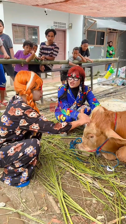 CERY IS NOT CRYING BECAUSE OF COWS 🤣 | NURRAYNI25