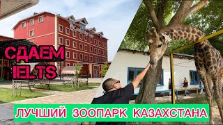 Сдаем Ielts В Шымкенте / Лучший  Зоопарк Казахстана/ Парки Шымкента