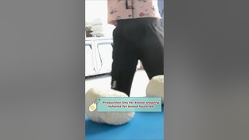 Revolutionize Your Bakery: Custom Production Line for Efficient Bread Shaping#bread #loaf #factory