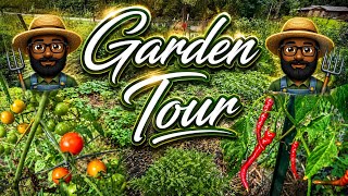 Garden Update: Almost Fall Planting Time 
