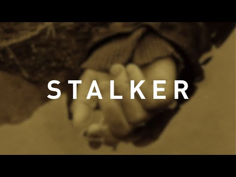 The Visuals of Andrei Tarkovsky's Stalker