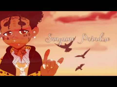 (official lyrics)Lil Uzi sanguine  paradise