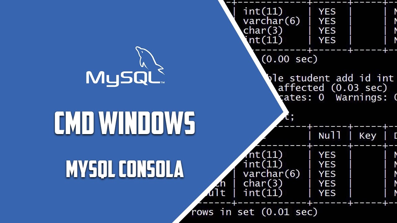 MySQL Consola - CMD Windows - Video 59 - YouTube
