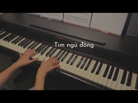 Tim Ngủ Đông - Phan Như Thuỳ