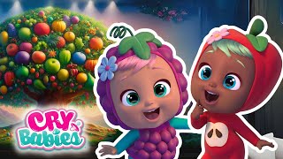 Download Lagu Aardbei Avontuur! 🌟🍓 CRY BABIES 💧 MAGIC TEARS | VOLLEDIGE AFLEVERING | Animatieseries MP3