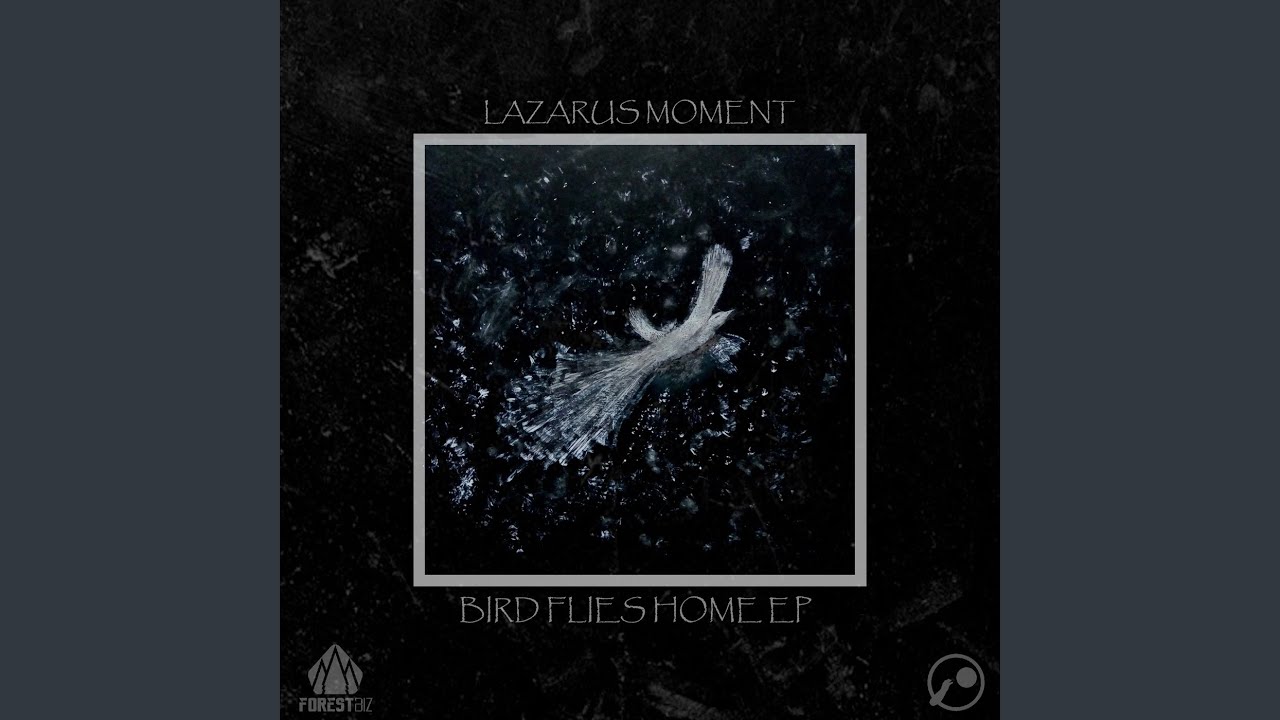 Obejrzyj Bloom w YouTube Obejrzyj Bloom w YouTube