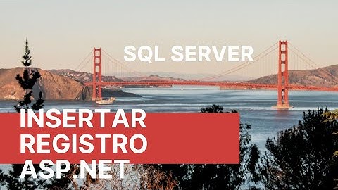 Insertar Registro con ASP .Net  en Sql Server 2005