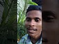 सुंदर पौधा, आप अपने घर में लगा सकते हैं।#greenjharkhand #villagevlog #agriculture #vlog