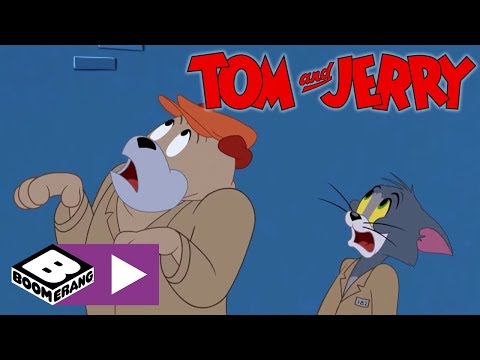 Tom & Jerry Show I Hayvan Barınağından Kaçış | Cartoonito Türkiye