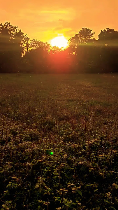 falak tak chal sath mere instrumental ringtone