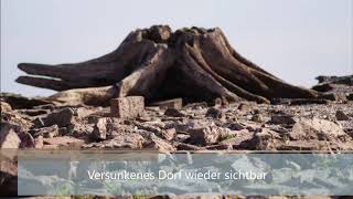 Quitzdorfer Stausee 2019 - Urlaub der OG2Berlin im Klub für Terrier by Peter Berlin 301 views 4 years ago 42 minutes