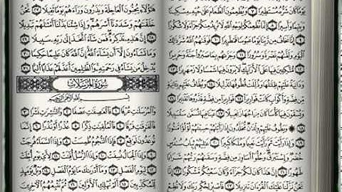 سورة الإنسان - ناصر القطامي