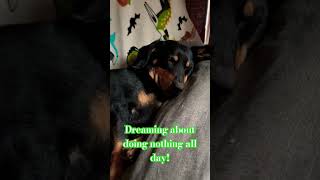 Sleeping the day away!