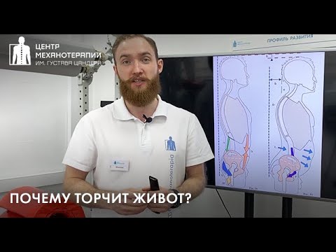 Торчит живот? Боли в пояснице? - это признаки перекоса таза (наклон таза кпереди)