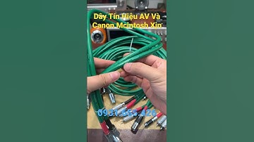 Dây Tín Hiệu AV Và Canon Bãi Mỹ Mcintosh USA Xịn #mdaudio #shorts