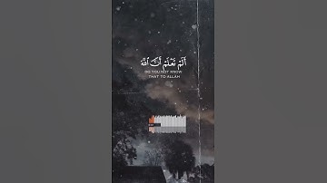 #القارئ_ياسر_الدوسري #سورة_البقرة