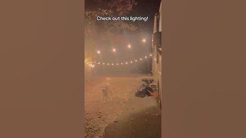 Yuncheng String Lights: The Ultimate Solution for Indoor & Outdoor Lighting