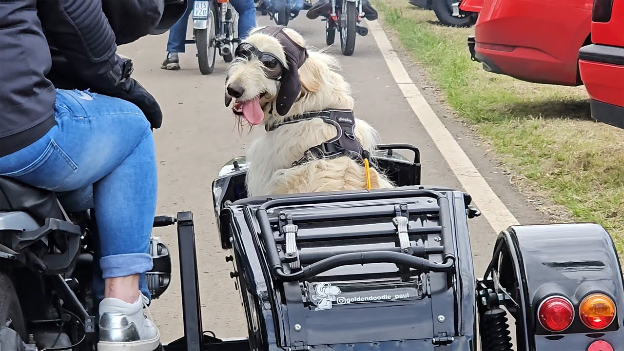 Oldtimertreffen in Hainzell  - 26.Mai 2024