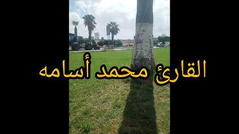 قال يهرون ما منعك إذ رأيتهم ضلوا _ القارئ محمد أسامه... Mohamed Osama _koran kareem ❤️💕💕💕