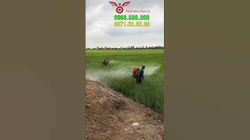 Máy phun thuốc trừ sâu cho ruộng lúa ở Nam Định  cực chất của 2 kỹ thuật nhà Vinmax #shorts #vinmax
