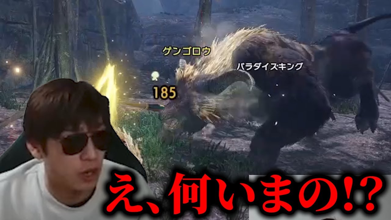 怒り時間『０.３秒』のラージャン現る 【モンスターハンターサンブ/ボーン】