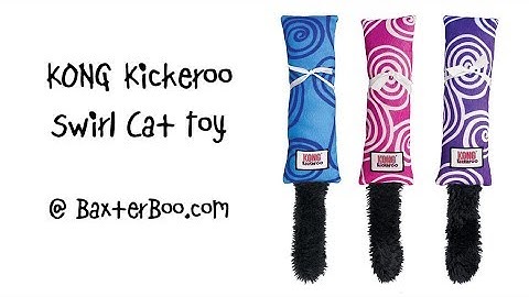 KONG Kickeroo Swirl Cat Toy