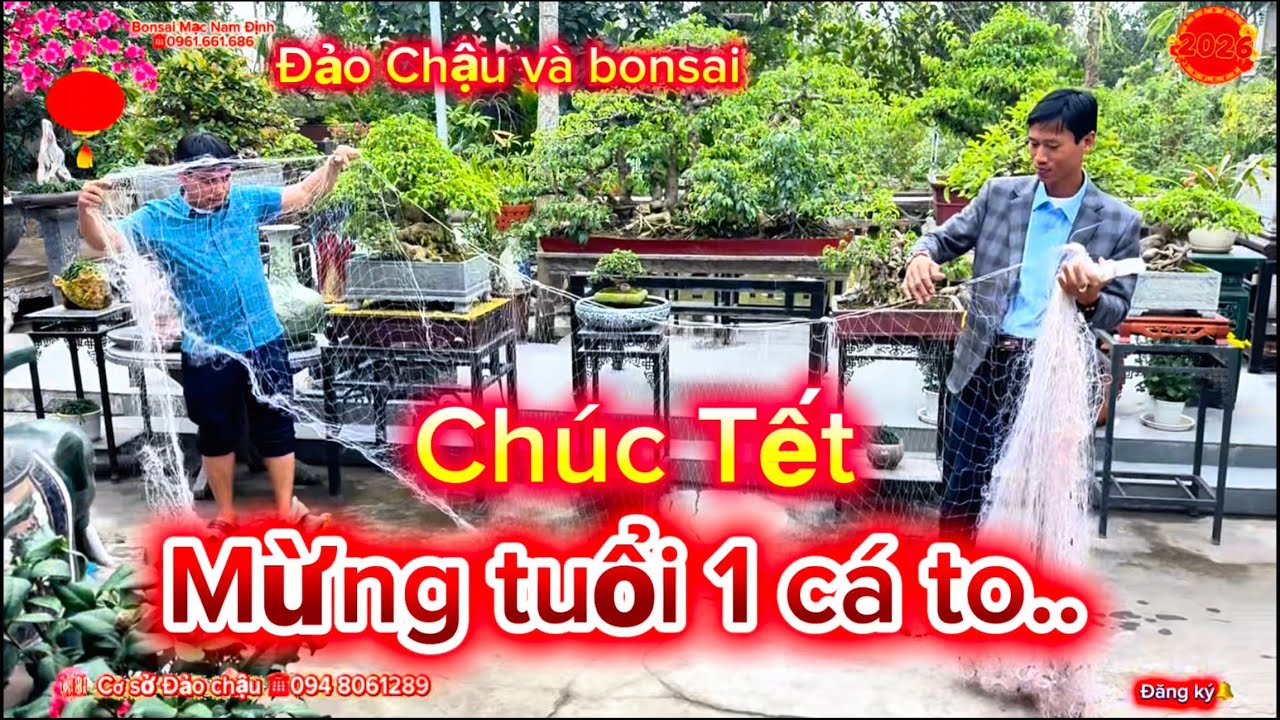 Đi chúc Tết vườn anh Đảo chậu được mừng tuổi cá to