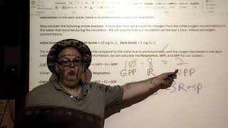 Canu APES GPP NPP and Respiration