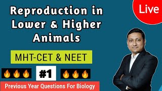 Reproduction in Lower & Higher Animals | PART 1 | NEET & MHT-CET | PYQ |  Biology