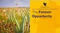 Video for Forever Living Products
