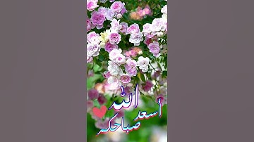 أسعد الله صباحكم مع تلاوة عطرة🤍أنشر مايسرك أن تراه أمام🍁
