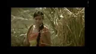 WAPBOM COM Fevicol Marine New TVC