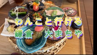 わんこと行ける鎌倉古民家カフェ