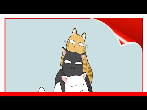 8 Cat Puns That Will Make Your Day ☺️