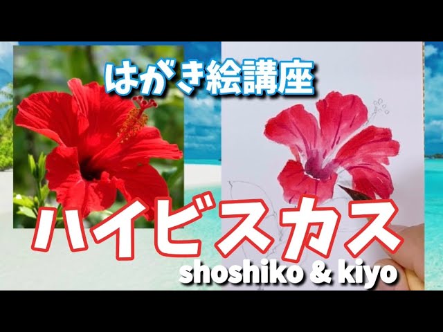 ハイビスカスの描き方はがき絵講座 Hibiscus Shoshiko Kiyo Youtube