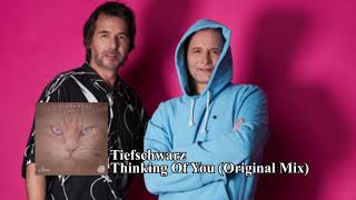 Tiefschwarz - Thinking Of You (Original Mix)