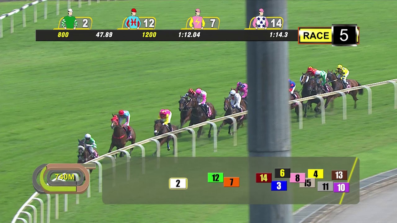 Hong Kong Jockey Club Trophy 2019 Yulong Edition Youtube