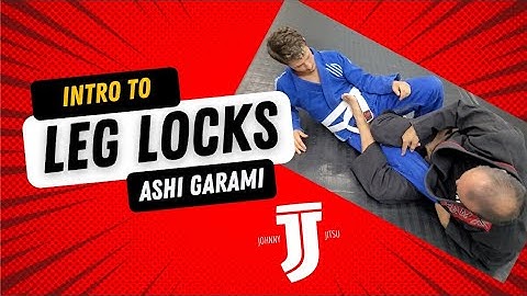 INTRO to LEG LOCKS (2 on 1 Wrist Control to Dummy Sweep to Ashi Garami)